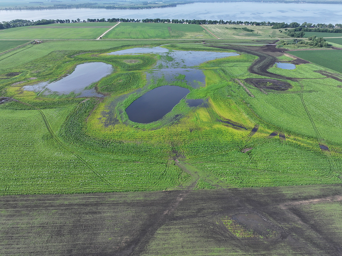 Aerial photograph of restoration sites at Moore Slough WPA.